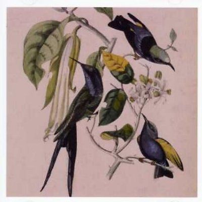 Susumu Yokota - Sakura (CD)