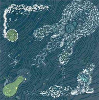 Shape Of Broad Minds - Blue Experience (CD)