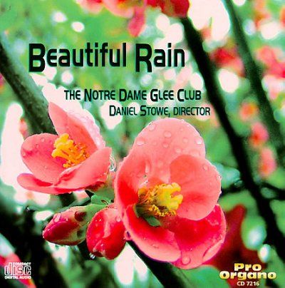 Beautiful Rain - (Import CD)