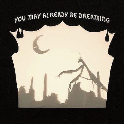 Neva Dinova - You May Already Be Dreaming (CD)
