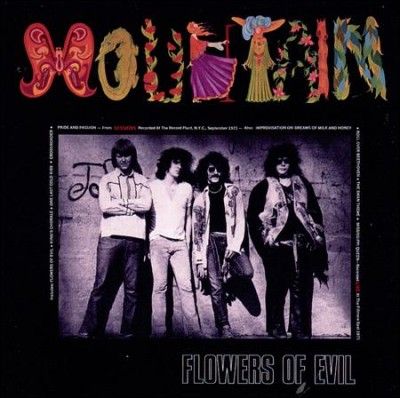 Flowers of Evil - (Import CD)