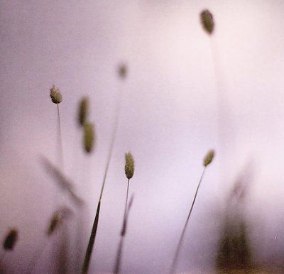 Peter Broderick - Float (CD)