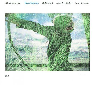 Marc Johnson - Bass Desires (CD)