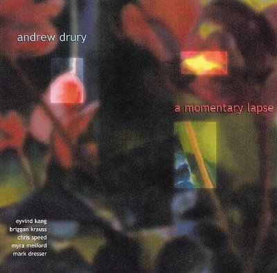 Andrew Drury - Momentary Lapse (CD)