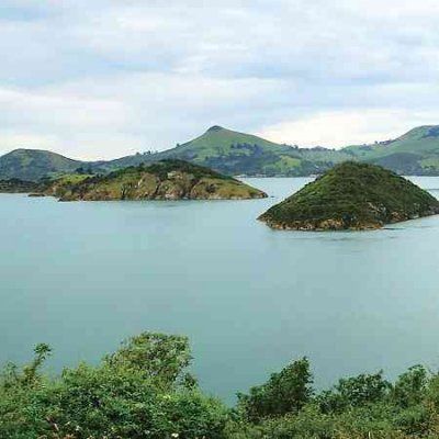 Dead C - Secret Earth (CD)