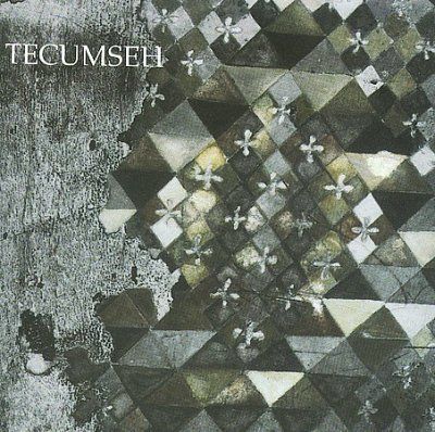 Techumseh - Avalanche And Inundation (CD)