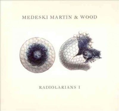Martin &amp; Wo Medeski - Radiolarians 1 (CD)