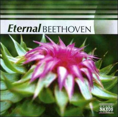 Various - Beethoven: Eternal Beethoven (CD)