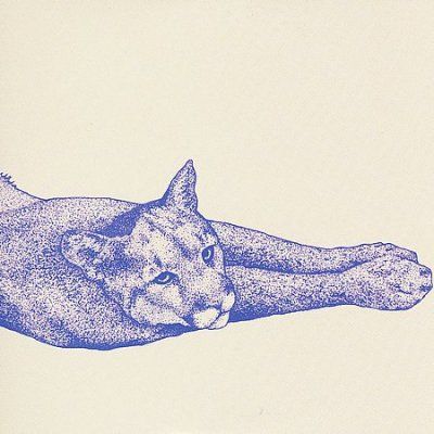 Koen Holtkamp - Field Ritulas (CD)