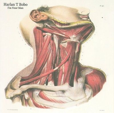 Harlan T. Bobo - I'm Your Man (CD)