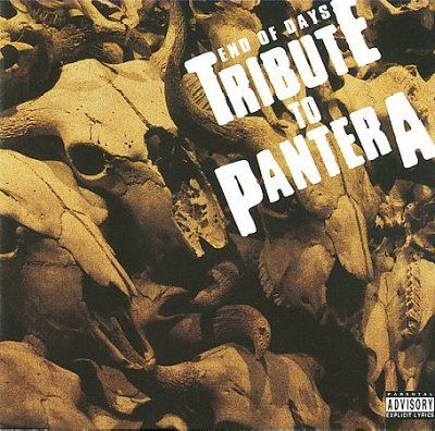 End of Days:Tribute to Pantera - (Import CD)