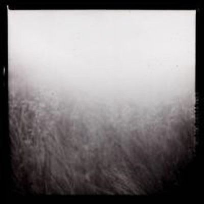 Sylvain Chauveau - Black Book Of Capitalism (CD)