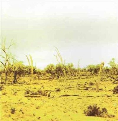 Strings Of Conscious - Strings Of Consciousness &amp; Angel (CD)