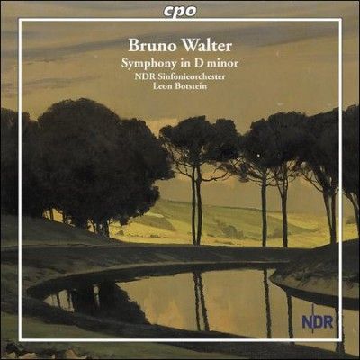 Ndr Sinfonieorcheste - Walter: Symphony In D Minor (CD)