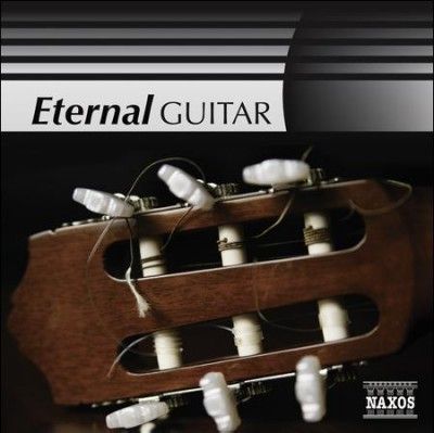 Various - Eternal Guitar (CD)
