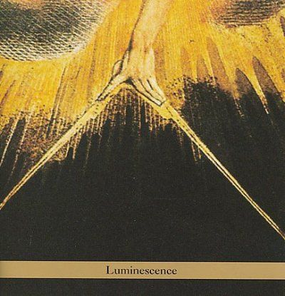 Borah Trio Bergman - Luminescence (CD)