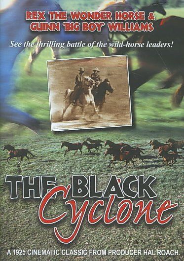 Black Cyclone - (Region 1 Import DVD)