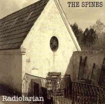Spines - Radiolarian (CD)