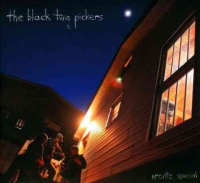 Black Twig Pickers - Ironto Special (CD)