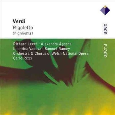 Carlo Rizzi - Verdi: Rigoletto Highlights (CD)