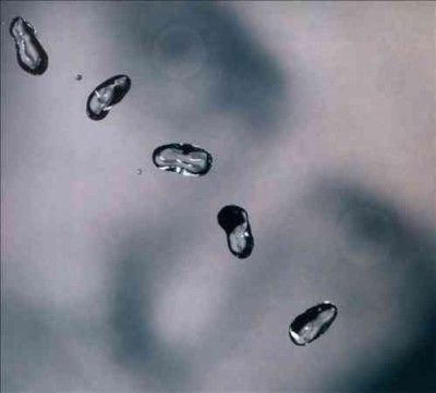 Peter Gabriel - Up (CD)