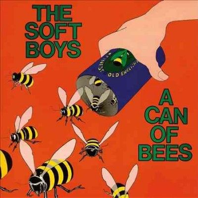 Soft Boys - Can Of Bees (CD)