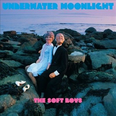 Soft Boys - Underwater Moonlight (CD)
