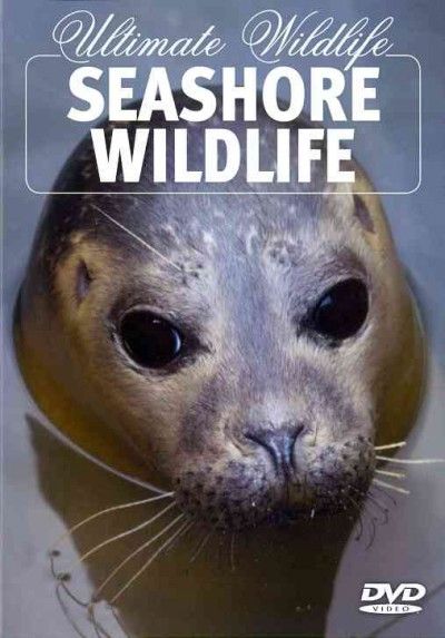 Seashore Wildlife - (Region 1 Import DVD)