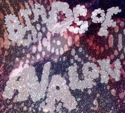 Birds Of Avalon - Birds Of Avalon (CD)