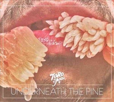 Toro Y Moi - Underneath The Pine (CD)