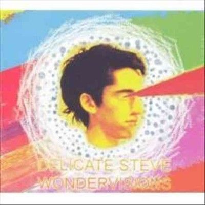 Delicate Steve - Wondervisions (CD)