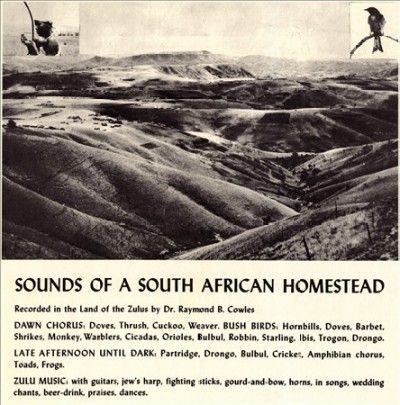 Sounds of a South African Homestead - (Import CD)