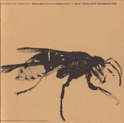 Sounds of Insects - (Import CD)