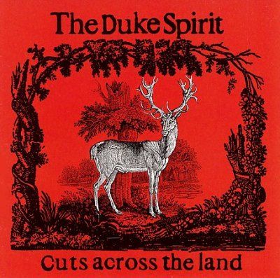 Duke Spirit - Cuts Across The Land (CD)