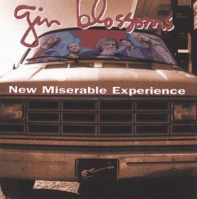 Gin Blossoms - New Miserable Experience (rarities Ed (CD)