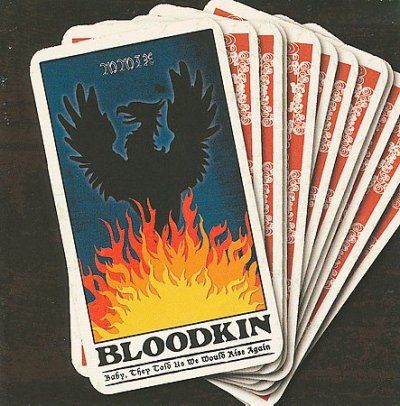 Bloodkin - Baby They Told Us We Would Rise Again (CD)