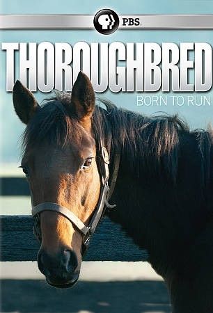 Thoroughbread:Born to Run - (Region 1 Import DVD)