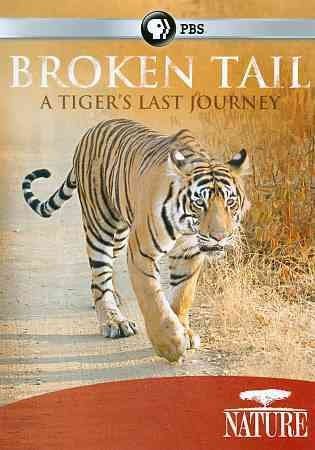 Nature: Broken Tail Tiger? S Last Journ (DVD)