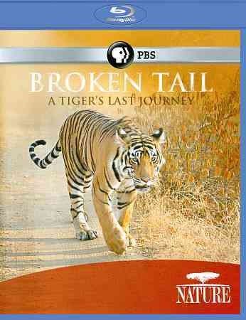 Nature:Broken Tail Tiger?S Last Journ - (Region A Import Blu-ray Disc)