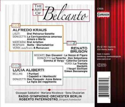Tokyo Symphony Orche - Art Of Belcanto (CD)