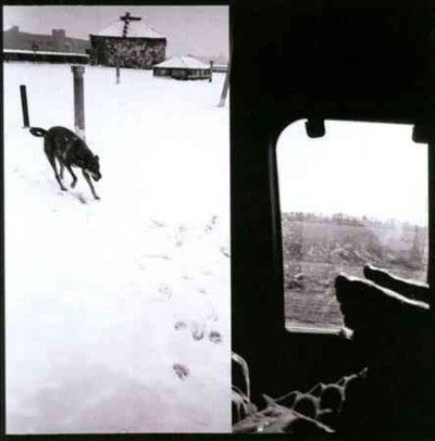 Braveyoung - We Are Lonely Animals (CD)