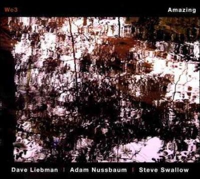We3 - Amazing (CD)