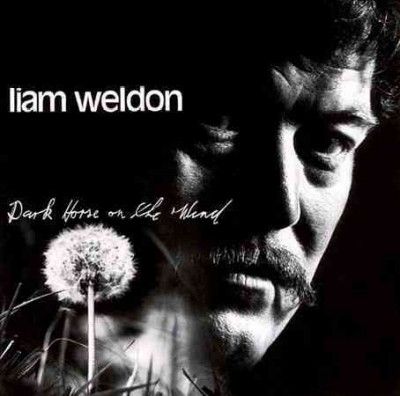 Liam Weldon - Dark Horse On The Wind (CD)
