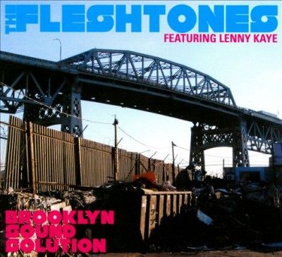 Fleshtones - Brooklyn Sound Solution (CD)