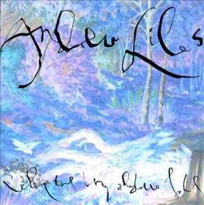 Andrew Liles - Where The Long Shadows Fall (CD)