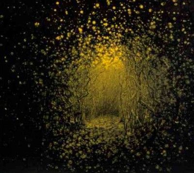 Antlers - Burst Apart (CD)