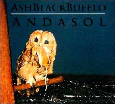 Ash Black Bufflo - Andasol (CD)