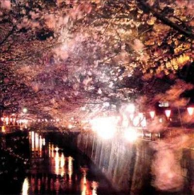 Various - Enjoy The Silence Vol 2 (CD)