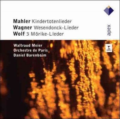 Orchestre De Paris - Kindertotenlieder Wesendonck Lieder L (CD)
