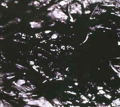 Asva - Presences Of Absences (CD)